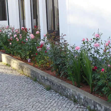 Irmas Dominicanas - By Flagworld 3* Fátima